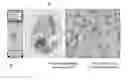 Fig. 01 - Method for forming an image reference device