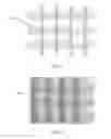 Fig. 08 - Method for forming an image reference device