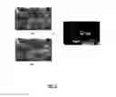 Fig. 06 - System and method for robust motion detection