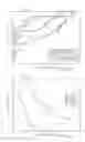 Fig. 13 - Real-time video tracking system