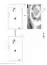 Fig. 13 - Extracting salient features from video using a neurosynaptic system