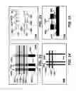 Fig. 24 - Memristor apparatus with meta-stable switching elements