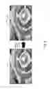 Fig. 07 - Classifying features using a neurosynaptic system