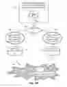 Fig. 20 - Marketing to a community of subjects assigned quantum states modulo a proposition perceived in a social value context