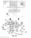 Fig. 36 - Marketing to a community of subjects assigned quantum states modulo a proposition perceived in a social value context