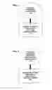 Fig. 02 - ENCRYPTION AND TOKENIZATION ARCHITECTURES