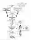 Fig. 05 - ENCRYPTION AND TOKENIZATION ARCHITECTURES