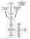 Fig. 06 - ENCRYPTION AND TOKENIZATION ARCHITECTURES