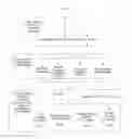 Fig. 19 - SYSTEM FOR CONCURRENT OPTIMIZATION OF BUSINESS ECONOMICS AND CUSTOMER VALUE