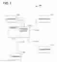 Fig. 02 - SYSTEMS AND METHODS FOR PROVIDING LIQUIDITY TO SHAREHOLDERS OF A REAL ESTATE PROJECT
