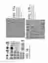 Fig. 12 - System and processor implemented method for improved image quality and generating an image of a target illuminated by quantum particles