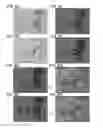 Fig. 07 - Drug inspection device