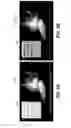 Fig. 03 - Systems and methods for appearance mapping for compositing overlay graphics