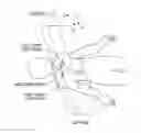 Fig. 01 - Unified coordinate system for multiple CT scans of patient lungs