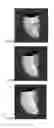 Fig. 03 - CLASSIFYING CONTIGUOUS OBJECTS FROM POLYGONAL MESHES WITH SPATIALLY GRID-LIKE TOPOLOGY
