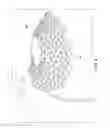Fig. 05 - Technique for filling holes in a three-dimensional model