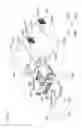 Fig. 83 - Gaming machine