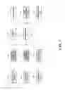 Fig. 08 - Biological information processing system and method of controlling the same