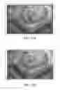 Fig. 24 - Shading correction calculation apparatus and shading correction value calculation method