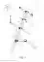 Fig. 02 - Drum stand