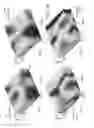 Fig. 19 - Three-dimensional sound compression and over-the-air-transmission during a call
