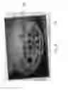 Fig. 13 - Automatic generation of video from structured content