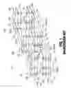 Fig. 02 - Memory devices and programming memory arrays thereof