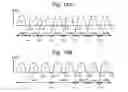 Fig. 20 - Look ahead read method for non-volatile memory