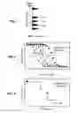 Fig. 05 - Method and system for electron microscope with multiple cathodes