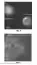 Fig. 06 - Method and system for electron microscope with multiple cathodes