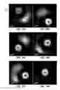 Fig. 08 - Method and system for electron microscope with multiple cathodes