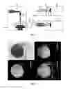 Fig. 02 - Parallel elemental and molecular mass spectrometry analysis with laser ablation sampling