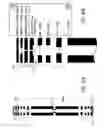 Fig. 17 - Ion trap mass spectrometer