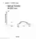 Fig. 09 - Differentially pumped dual linear quadrupole ion trap mass spectrometer