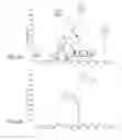 Fig. 15 - Differentially pumped dual linear quadrupole ion trap mass spectrometer
