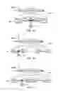 Fig. 08 - Ion trap mass spectrometer having a curved field region
