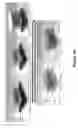 Fig. 21 - Processing techniques for silicon-based transient devices