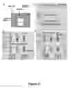 Fig. 28 - Processing techniques for silicon-based transient devices