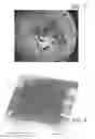 Fig. 05 - Atomically precise surface engineering for producing imagers