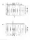 Fig. 03 - ORGANIC TANDEM PHOTOVOLTAIC DEVICE AND METHODS