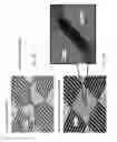Fig. 19 - Silicon based nanoscale crossbar memory