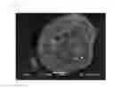 Fig. 03 - COMPOSITE ACTIVE MATERIAL FOR LITHIUM SECONDARY BATTERIES AND METHOD FOR PRODUCING SAME