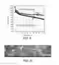 Fig. 08 - High capacity anode materials for lithium ion batteries