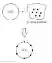 Fig. 01 - Anode active material for lithium secondary battery, method of preparing the same, and lithium secondary battery including the same