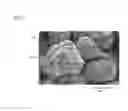 Fig. 06 - Positive electrode active material, and lithium secondary battery using same