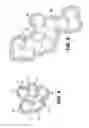 Fig. 05 - LIQUID-ELECTROLYTE FUEL-CELL ELECTRODES WITH SOLUBLE FLUOROPOLYMER COATING AND METHOD FOR MAKING SAME