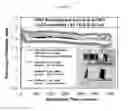 Fig. 38 - Molten air rechargeable batteries