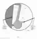 Fig. 08 - Non-pressure compensated, wet-mateable plug for feedthrough and other subsea systems