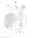 Fig. 02 - Socket for electronic components