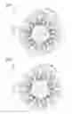 Fig. 02 - Magnetic wave gear device